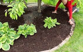 Why Reliable Mulch Installation Services are Essential for Your Landscape Maintenance